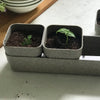 Sustainable Eco-Planter Herb Pot with Tray - Set of 3