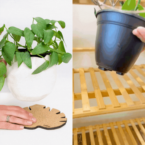 Kostr™ - Monstera Shaped Cork Pot Coaster
