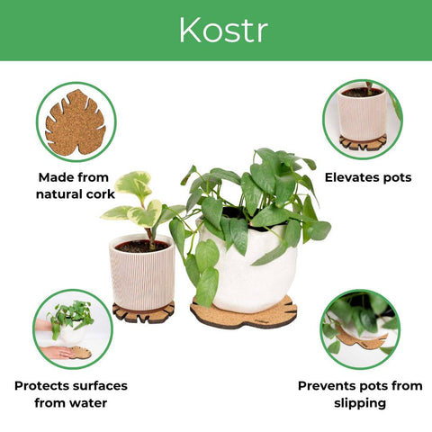 Kostr™ - Monstera Shaped Cork Pot Coaster
