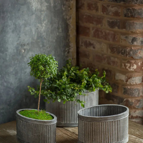 Oval Metal Dolly Planters