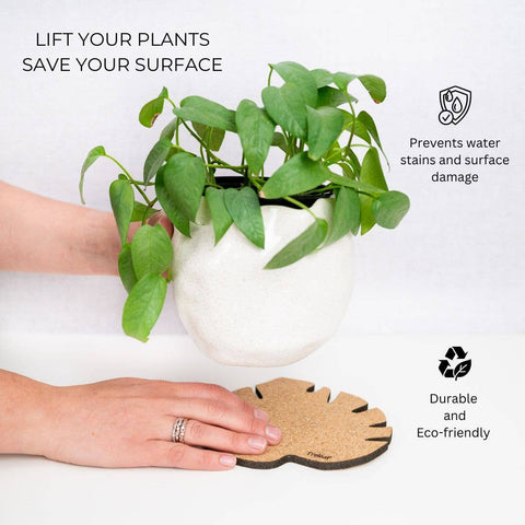 Kostr™ - Monstera Shaped Cork Pot Coaster