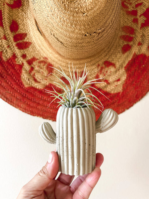 Mini Cactus Airplant Holder