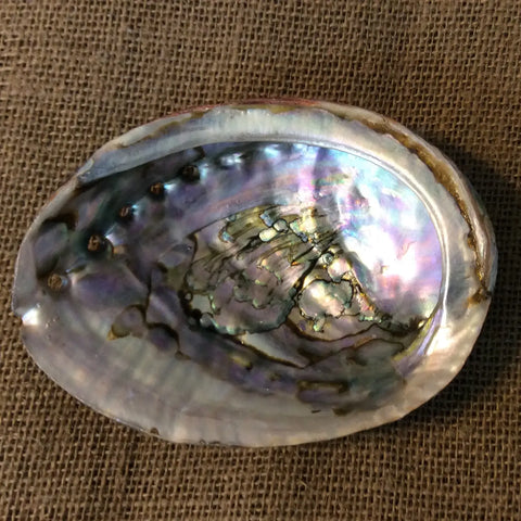 Abalone Smudging Shell