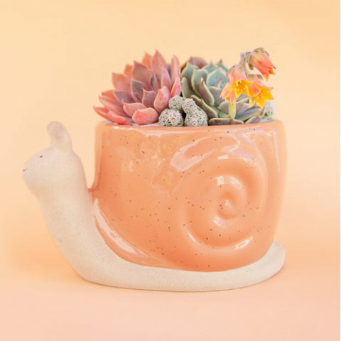 Snail Planter