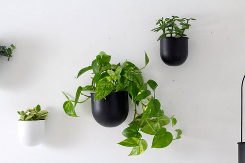 Round Minimalist Metal Wall Planter Pot