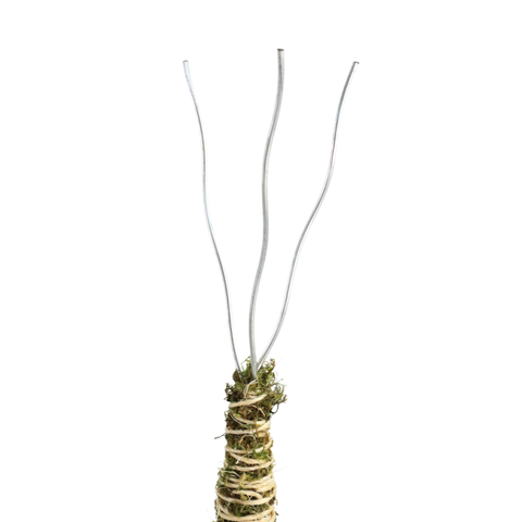 3 Pack Bendable Moss Pole™ 𝘛𝘏𝘐𝘕