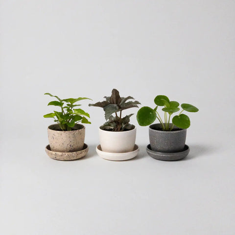 Elemental Mini Pots