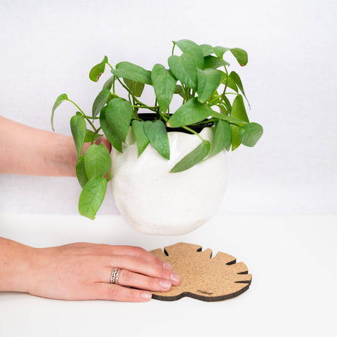 Kostr™ - Monstera Shaped Cork Pot Coaster