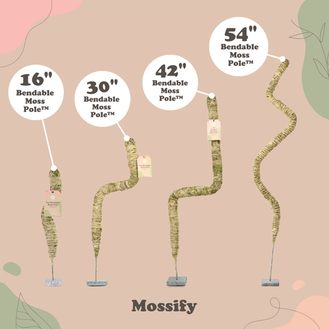 Original Bendable Moss Pole™ - Climbing Plants