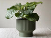 Solah Pattern Lightweight Planter Pot with Drip Tray