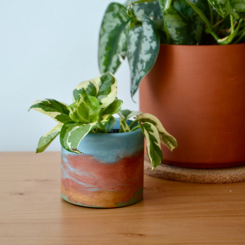 Watercolor Planter