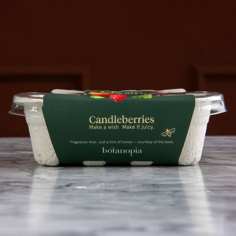 Candleberries – Berry-Shaped Birthday Candles (Set of 14)