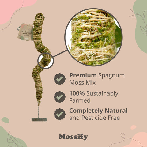 Original Bendable Moss Pole™ - Climbing Plants