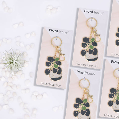 Pilea Keychain - Pilea peperomioides