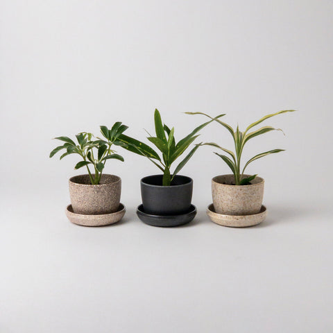 Elemental Mini Pots