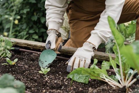 Metal Garden Scoop with Wooden Handle