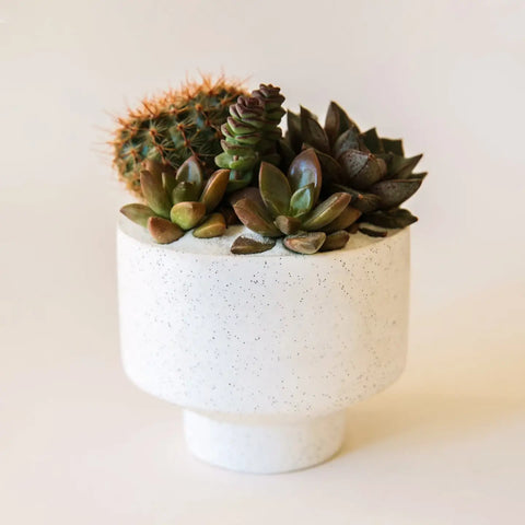 Speckle Footed Pot