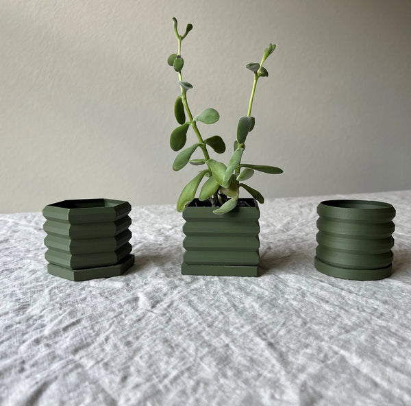 3D Mini Succulent Planters - Set of 3