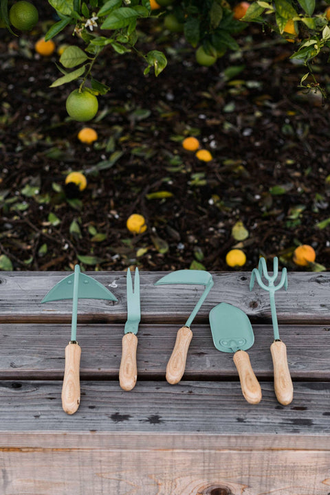 Dandelion Weeding Fork