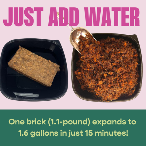 Coco Chip - Chunky Coconut Husk for Houseplant Soil Aeration