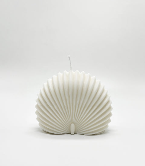 Shell Candle