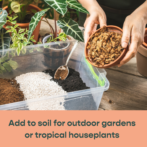 Coco Chip - Chunky Coconut Husk for Houseplant Soil Aeration