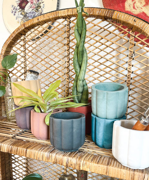 Mini Scalloped Cement Planter