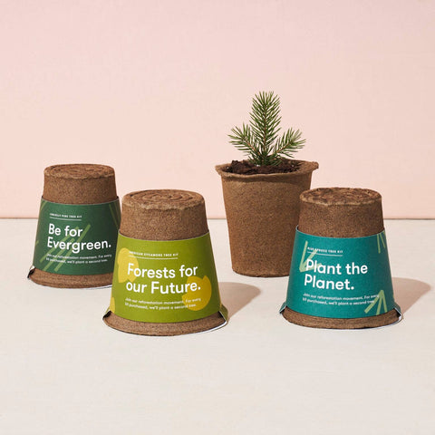 One-For-One Tree Kit