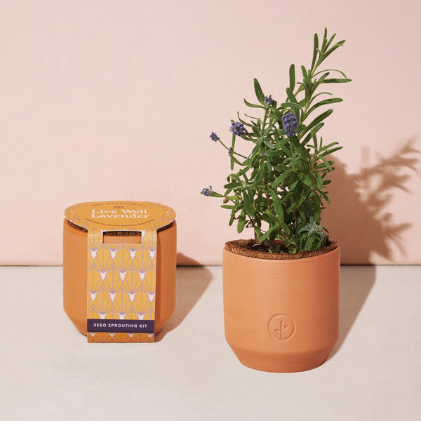 Tiny Terracotta Grow Kits