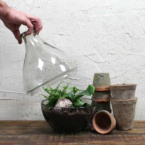 Rustic Terra Cotta Rose Pot