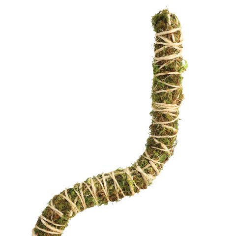 3 Pack Bendable Moss Pole™ 𝘛𝘏𝘐𝘕