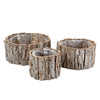 Tree Bark Planters