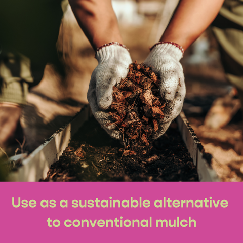 Coco Chip - Chunky Coconut Husk for Houseplant Soil Aeration