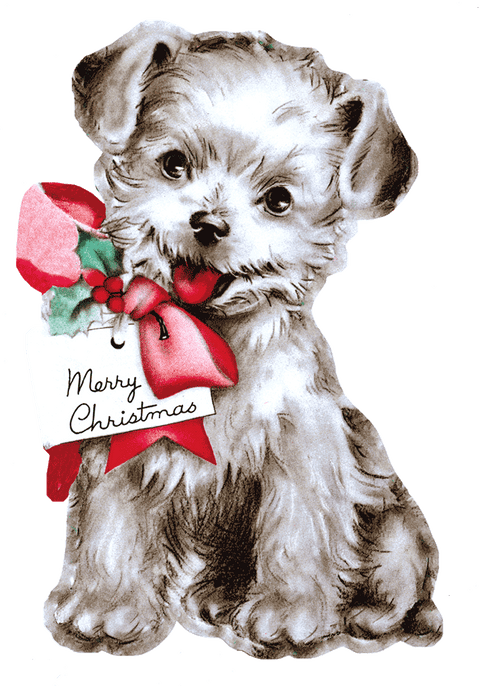 Merry Christmas Card Collection - Christmas Greeting Card Packet