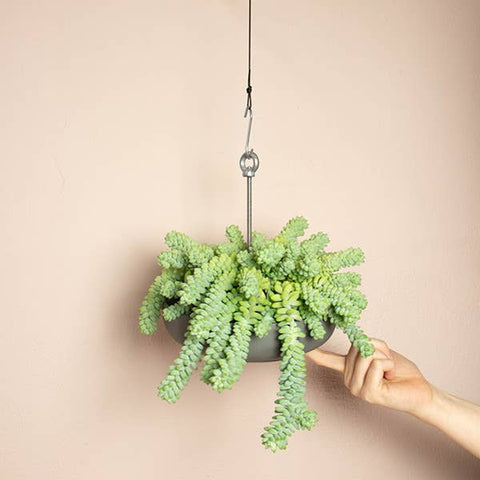 Bolty – Hanging Planter System for Pots