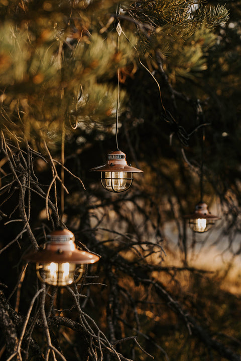 Edison String Lights