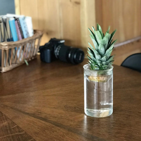 Bulb Vase