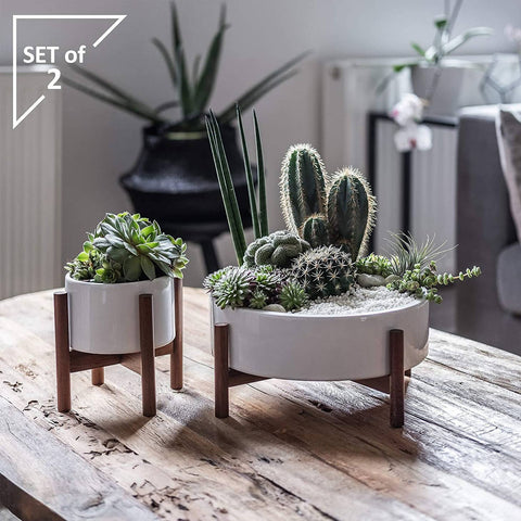 Mid Century Succulent Planters - Large Bowl & Midi Pot