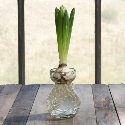 Recycled Bulb Vase