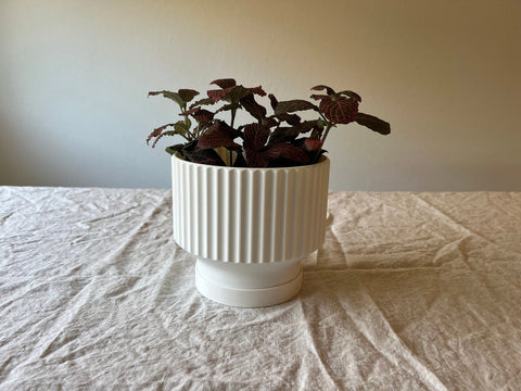 Solah Pattern Lightweight Planter Pot with Drip Tray