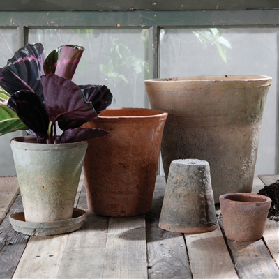 Rustic Terra Cotta Rose Pot
