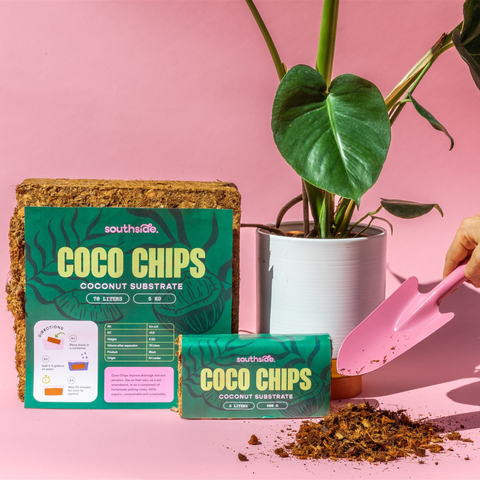 Coco Chip - Chunky Coconut Husk for Houseplant Soil Aeration