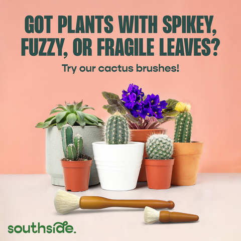 Houseplant Cleaning Wipes