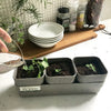 Sustainable Eco-Planter Herb Pot with Tray - Set of 3