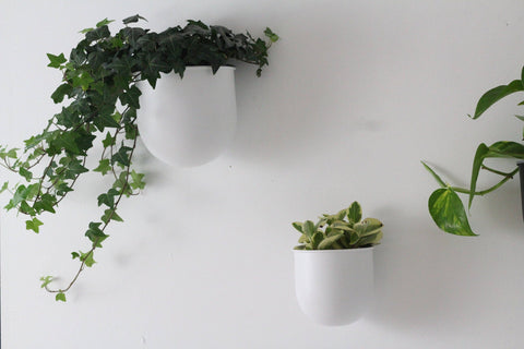 Round Minimalist Metal Wall Planter Pot