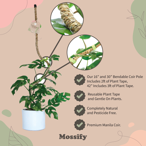 Original Bendable Coir Pole™ - Climbing Plants