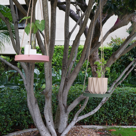 The Minimalist Hanging Plant Tray