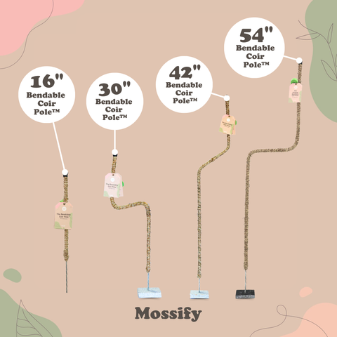 Original Bendable Coir Pole™ - Climbing Plants