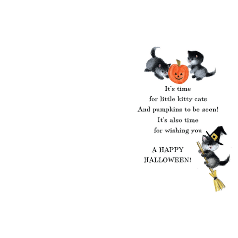 Kitten in Pumpkin - Halloween Greeting Card