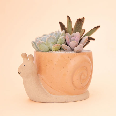 Snail Planter